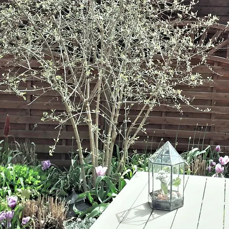 فندق مبيت وإفطار Garni Siedlerstube